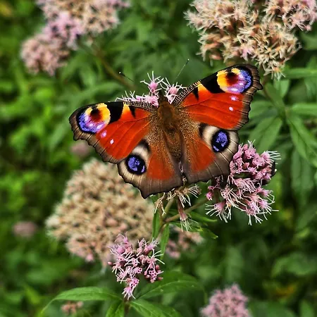 Gartenblick Dorfliebe Doernberg Бествиг